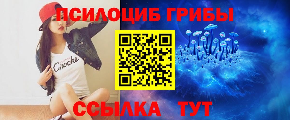 Галлюциногенные грибы Psilocybine cubensis  купить   Вход с VPN  Лабинск  Псилоцибиновые грибы мицелий 